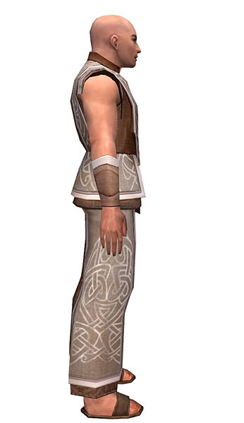 File:Monk Tyrian armor m dyed right.jpg