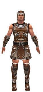 Warrior Istani armor m dyed front.jpg