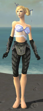 Elementalist Obsidian armor f gray front arms legs.jpg
