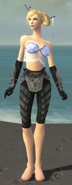 File:Elementalist Obsidian armor f gray front arms legs.jpg