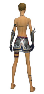 Assassin Monument armor f gray back arms legs.png