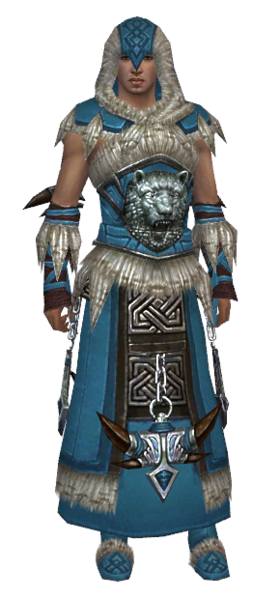 File:Dervish Norn armor m dyed front.png