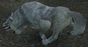 Tundra Wolf - Guild Wars Wiki (GWW)