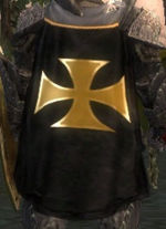 Guild Order Of The Dark Templar cape.jpg