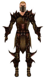 Ranger Primeval armor m dyed front.jpg