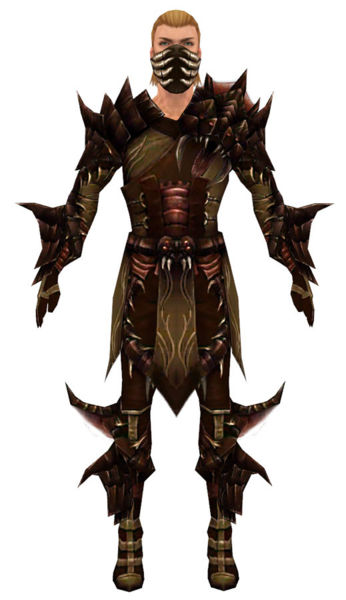 File:Ranger Primeval armor m dyed front.jpg