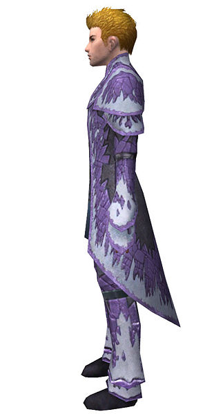 File:Elementalist Iceforged armor m dyed left.jpg