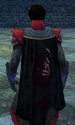 Guild Rulers Of Chaos And Destruction cape.jpg