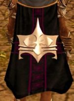 Guild The White Wych Kings cape.jpg