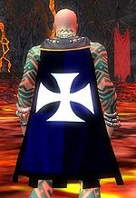 Guild Defenders Of The Divine Realms cape.jpg