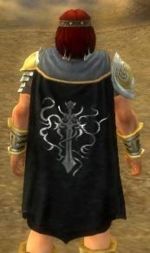 Guild Knights Of Serendipity cape.jpg