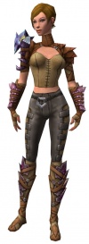 Ranger Drakescale armor f.jpg