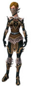 Ranger Elite Kurzick armor f.jpg