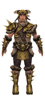 Warrior Elite Charr Hide armor m dyed front.jpg