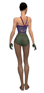 Mesmer Elite Canthan armor f gray back arms legs.png