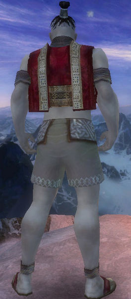 File:Monk Vabbian armor m Red back chest feet.jpg