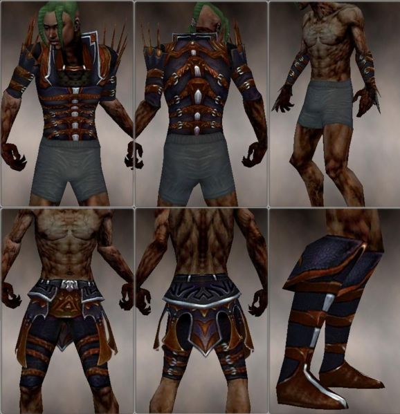 File:Necromancer Elite Cabal armor m brown overview.jpg