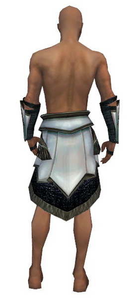 File:Paragon Obsidian armor m gray back arms legs.png