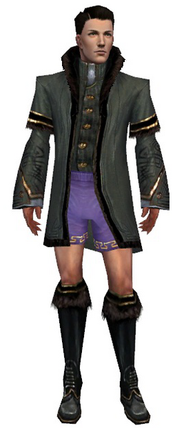 File:Mesmer Norn armor m gray front chest feet.png
