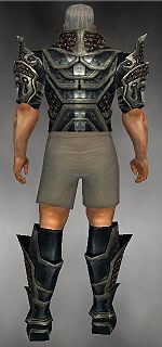 Warrior Elite Kurzick armor m gray back chest feet.jpg