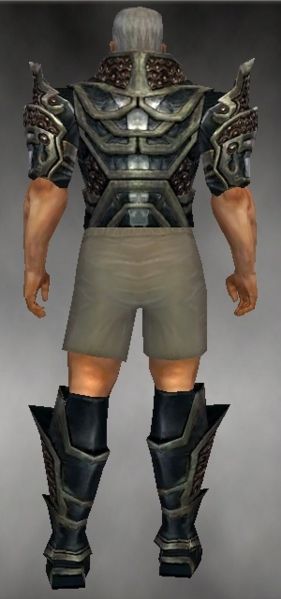 File:Warrior Elite Kurzick armor m gray back chest feet.jpg