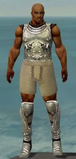 Warrior Istani armor m gray front chest feet.jpg