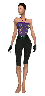 Mesmer Tyrian armor f gray front arms legs.png