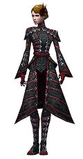 Necromancer Elite Cultist armor f.jpg