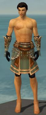 Ritualist Imperial armor m gray front arms legs.jpg