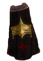 Guild Imperial Luxon Army cape.jpg