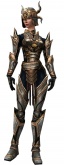 Warrior Elite Sunspear armor f.jpg
