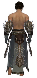 Dervish Primeval armor m gray back arms legs.png